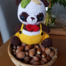 IMG_20201008_154823_752